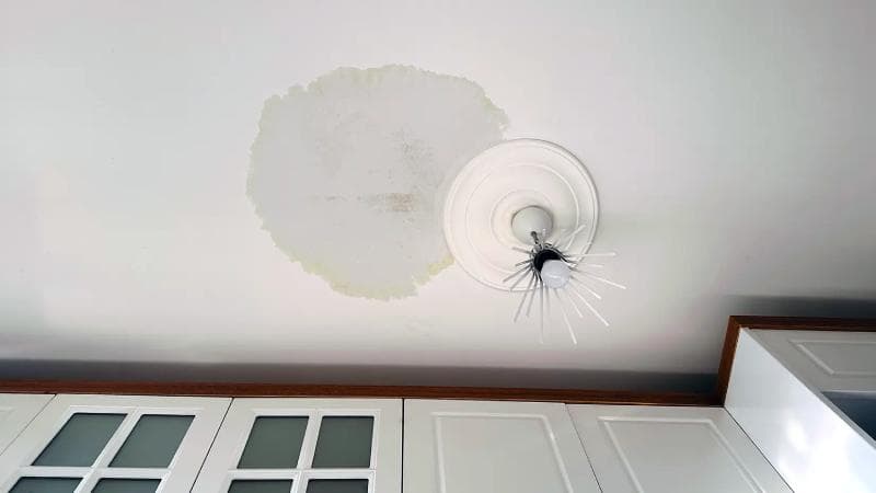 Large circular water stain on a white ceiling next to a decorative light fixture.